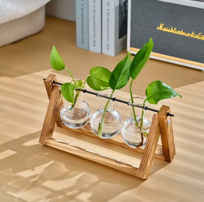 Hydroponic Glass Tabletop Vase with Wooden Stand -  Venloo Decoraction