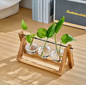 Hydroponic Glass Tabletop Vase with Wooden Stand -  Venloo Decoraction