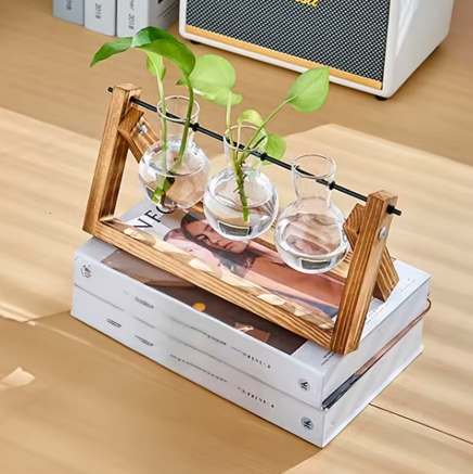 Hydroponic Glass Tabletop Vase with Wooden Stand -  Venloo Decoraction