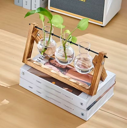 Hydroponic Glass Tabletop Vase with Wooden Stand -  Venloo Decoraction